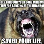 Cry 'Havoc' and let slip the dogs of war! | WHAT GOES THROUGH YOUR DOGS MIND WHEN YOU YELL AT HIM FOR BARKING AT THE NEIGHBORS DOG:; "I JUST SAVED YOUR LIFE, IDIOT" | image tagged in cry 'havoc' and let slip the dogs of war | made w/ Imgflip meme maker
