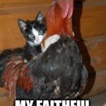 Kitten on Chicken | FORWARD; MY FAITHFUL STEED | image tagged in kitten on chicken | made w/ Imgflip meme maker