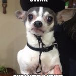 Dapper Chihuahua | WHEN YO BREATH STINK; BUT I NEED 2 KNOW WHERE U PUT THE CHRONIC | image tagged in dapper chihuahua | made w/ Imgflip meme maker