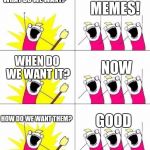 What do we want? | MEMES! WHAT DO WE WANT? WHEN DO WE WANT IT? NOW; HOW DO WE WANT THEM? GOOD | image tagged in what do we want | made w/ Imgflip meme maker