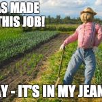 Scarecrow | I WAS MADE FOR THIS JOB! HAY - IT'S IN MY JEANS! | image tagged in scarecrow | made w/ Imgflip meme maker