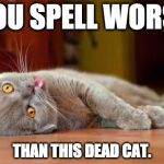 Dead cat | YOU SPELL WORSE; THAN THIS DEAD CAT. | image tagged in dead cat | made w/ Imgflip meme maker