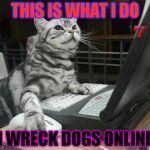 Coding Cat | THIS IS WHAT I DO; I WRECK DOGS ONLINE | image tagged in coding cat | made w/ Imgflip meme maker
