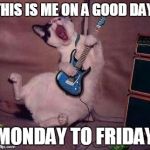 Guitar Cat | THIS IS ME ON A GOOD DAY, MONDAY TO FRIDAY | image tagged in guitar cat | made w/ Imgflip meme maker