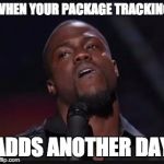 Waiting at home so excited and then... | WHEN YOUR PACKAGE TRACKING ADDS ANOTHER DAY | image tagged in kevin hart suspicious look | made w/ Imgflip meme maker