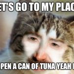 Sick kitty | LET'S GO TO MY PLACE; I'LL OPEN A CAN OF TUNA YEAH BABY | image tagged in sick kitty,funny cat memes | made w/ Imgflip meme maker
