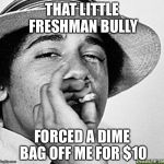 Being cool | THAT LITTLE FRESHMAN BULLY; FORCED A DIME BAG OFF ME FOR $10 | image tagged in being cool | made w/ Imgflip meme maker