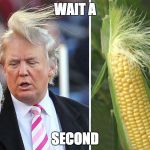 Donald Trump | WAIT A; SECOND | image tagged in donald trump | made w/ Imgflip meme maker
