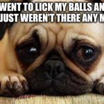 Sad Dog | I WENT TO LICK MY BALLS AND THEY JUST WEREN'T THERE ANY MORE!! | image tagged in sad dog | made w/ Imgflip meme maker