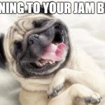 PugLOL | LISTENING TO YOUR JAM BE LIKE | image tagged in puglol | made w/ Imgflip meme maker