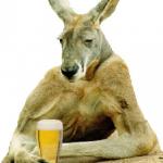 kangaroo in a bar