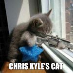 Cats with Guns | CHRIS KYLE'S CAT | image tagged in cats with guns | made w/ Imgflip meme maker