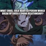 F**k you Seryu | WHAT CRUEL, COLD-HEARTED PERSON WOULD BREAK UP SUCH A LOVING RELATIONSHIP? I WOULD! | image tagged in anime,akame ga kill,animeme,quotes | made w/ Imgflip meme maker