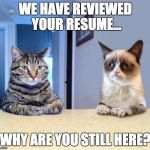 Two Grumpy Cats | WE HAVE REVIEWED YOUR RESUME... WHY ARE YOU STILL HERE? | image tagged in two grumpy cats | made w/ Imgflip meme maker