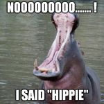 REINCARNATION:  GONE WRONG | NOOOOOOOOO....... ! I SAID "HIPPIE" | image tagged in hippo mouth open | made w/ Imgflip meme maker