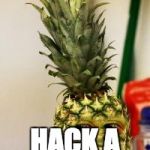 pinapple | YOU COULDNT; HACK A PINEAPPLE | image tagged in pinapple | made w/ Imgflip meme maker
