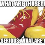 Clown Shoes | WHAT ARE THOSE!!! NO, I'M SERIOUS, WHAT ARE THOSE? | image tagged in clown shoes | made w/ Imgflip meme maker