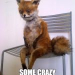 frightened fox | SO WHAT DOES THE FOX SAY? SOME CRAZY SHIZ, FOR SURE | image tagged in frightened fox | made w/ Imgflip meme maker