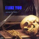 Waiting Skull | I LIKE YOU | image tagged in waiting skull | made w/ Imgflip meme maker