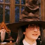 Harry Potter Hat