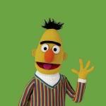 Bert sesame street