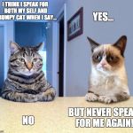 Two Grumpy Cats | I THINK I SPEAK FOR BOTH MY SELF AND GRUMPY CAT WHEN I SAY... YES... BUT NEVER SPEAK FOR ME AGAIN! NO | image tagged in two grumpy cats | made w/ Imgflip meme maker