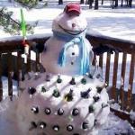 Put that snowman to work!  meme