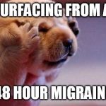 sleepy | SURFACING FROM A; 48 HOUR MIGRAINE | image tagged in sleepy | made w/ Imgflip meme maker