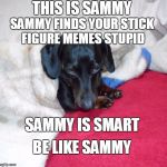 Sammy on Stick Figure Memes | THIS IS SAMMY; SAMMY FINDS YOUR STICK FIGURE MEMES STUPID; SAMMY IS SMART; BE LIKE SAMMY | image tagged in sammy the dachshund,dachshunds,stick figure | made w/ Imgflip meme maker