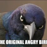 The Original Angry Bird | THE ORIGINAL ANGRY BIRD | image tagged in the original angry bird,angry bird,angry birds,grackle,birds,bird | made w/ Imgflip meme maker