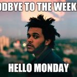 the weekend | GOODBYE TO THE WEEKEND; HELLO MONDAY | image tagged in the weekend | made w/ Imgflip meme maker