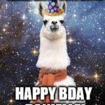Drama Llama Birthday | LLAMA LLAMA DING DONG! HAPPY BDAY DANIELLE! | image tagged in drama llama birthday | made w/ Imgflip meme maker