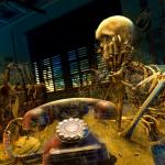 Skeleton waiting for dusty phone to ring