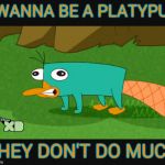 platypus | I WANNA BE A PLATYPUS; THEY DON'T DO MUCH | image tagged in platypus | made w/ Imgflip meme maker