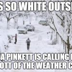 blizzard | IT'S SO WHITE OUTSIDE; JADA PINKETT IS CALLING FOR A BOYCOTT OF THE WEATHER CHANNEL | image tagged in blizzard | made w/ Imgflip meme maker