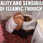 Drunk Girl Toilet | QUALITY AND SENSIBILITY OF ISLAMIC THOUGHT | image tagged in drunk girl toilet,islam,memes | made w/ Imgflip meme maker