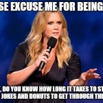 She did what! | PLEASE EXCUSE ME FOR BEING LATE; BUT, DO YOU KNOW HOW LONG IT TAKES TO STEAL ENOUGH JOKES AND DONUTS TO GET THROUGH THE NIGHT? | image tagged in amy shumer,memes,funny memes | made w/ Imgflip meme maker