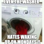 Funny Washer  | EVEN THE WASHER; HATES WAKING UP ON MONDAYS !! | image tagged in lol | made w/ Imgflip meme maker