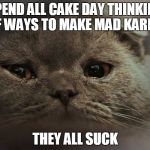 sad cat | SPEND ALL CAKE DAY THINKING OF WAYS TO MAKE MAD KARMA; THEY ALL SUCK | image tagged in sad cat | made w/ Imgflip meme maker
