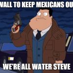 we're all water steve | BUILD A WALL TO KEEP MEXICANS OUT? WHY? WE'RE ALL WATER STEVE | image tagged in we're all water steve,but thats none of my business,the rock driving,pie charts,original,succesful black man | made w/ Imgflip meme maker