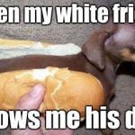 asian hot dog | When my white friend; shows me his dog | image tagged in asian hot dog | made w/ Imgflip meme maker