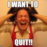 Stressed out dumb lady | I WANT TO; QUIT!! | image tagged in stressed out dumb lady | made w/ Imgflip meme maker