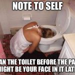 Drunk Girl Toilet | NOTE TO SELF; CLEAN THE TOILET BEFORE THE PARTY IT MIGHT BE YOUR FACE IN IT LATER!!! | image tagged in drunk girl toilet | made w/ Imgflip meme maker