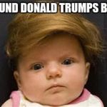 toupee | I FOUND DONALD TRUMPS BABY | image tagged in toupee | made w/ Imgflip meme maker