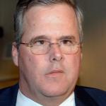 Jeb bush