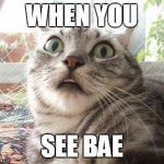 shocked cat | WHEN YOU; SEE BAE | image tagged in shocked cat | made w/ Imgflip meme maker