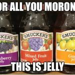 Jelly | FOR ALL YOU MORONS; THIS IS JELLY | image tagged in jelly | made w/ Imgflip meme maker