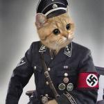 nazi cat