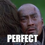 perfect | PERFECT | image tagged in perfect | made w/ Imgflip meme maker