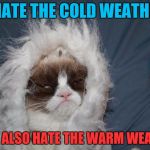 Cold grumpy cat  | I HATE THE COLD WEATHER; BUT I ALSO HATE THE WARM WEATHER | image tagged in cold grumpy cat | made w/ Imgflip meme maker